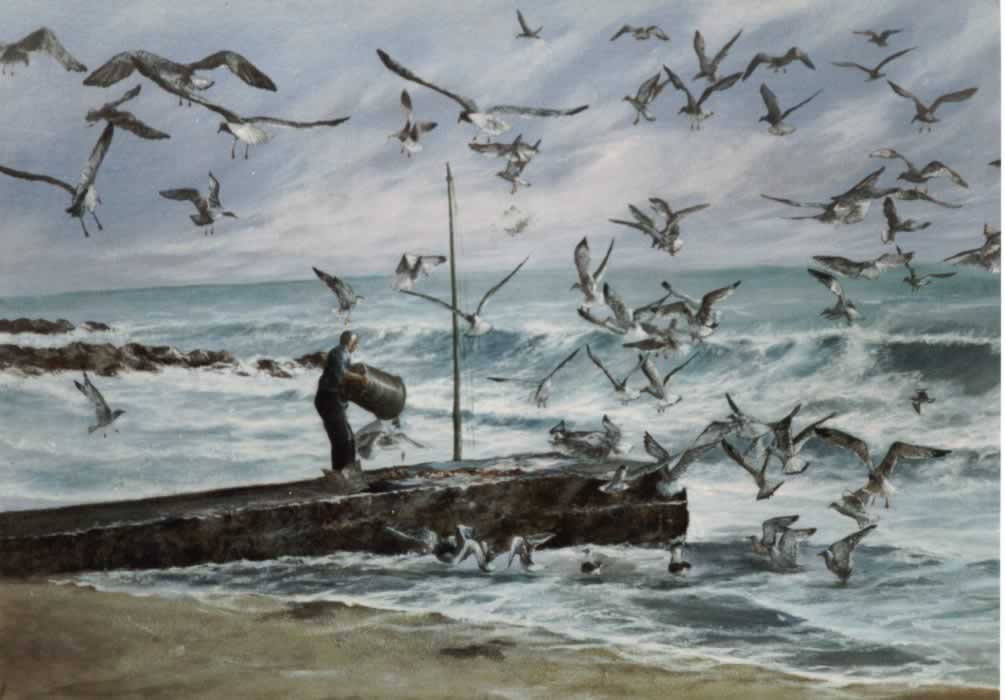 pescatore e gabbiani